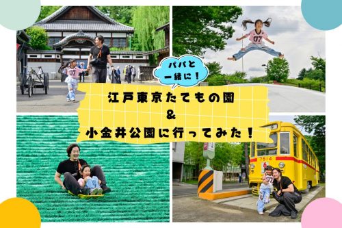 タイトル画像