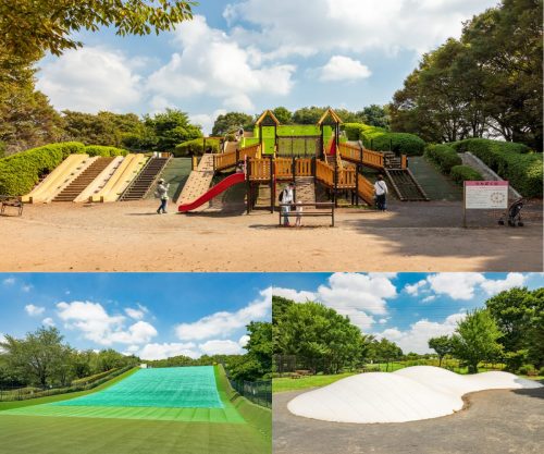 Photos of Koganei Park