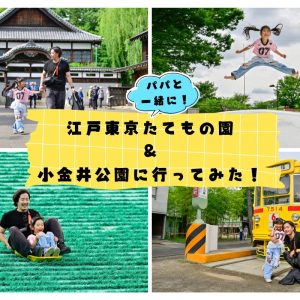 タイトル画像
